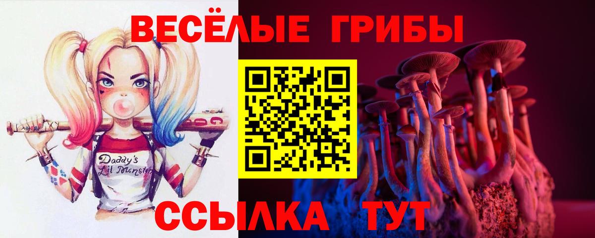 Галлюциногенные грибы ЛСД  Псилоцибиновые грибы MAGIC MUSHROOMS  Вход с VPN  Камышин 