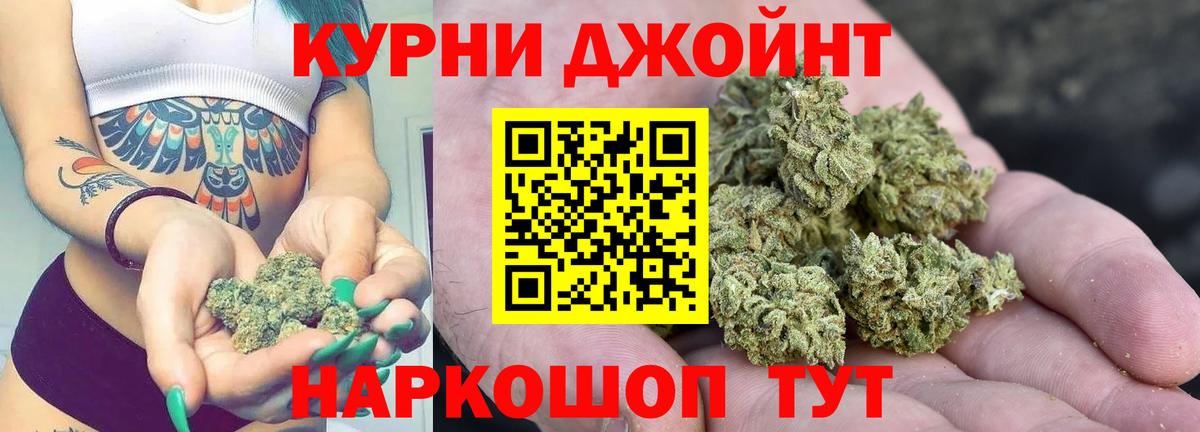 МАРИХУАНА семена  Марихуана сатива  Каннабис планчик  Камышин  Вход с VPN 